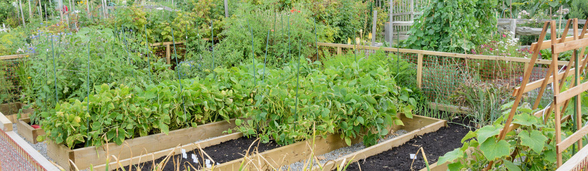 Allotments